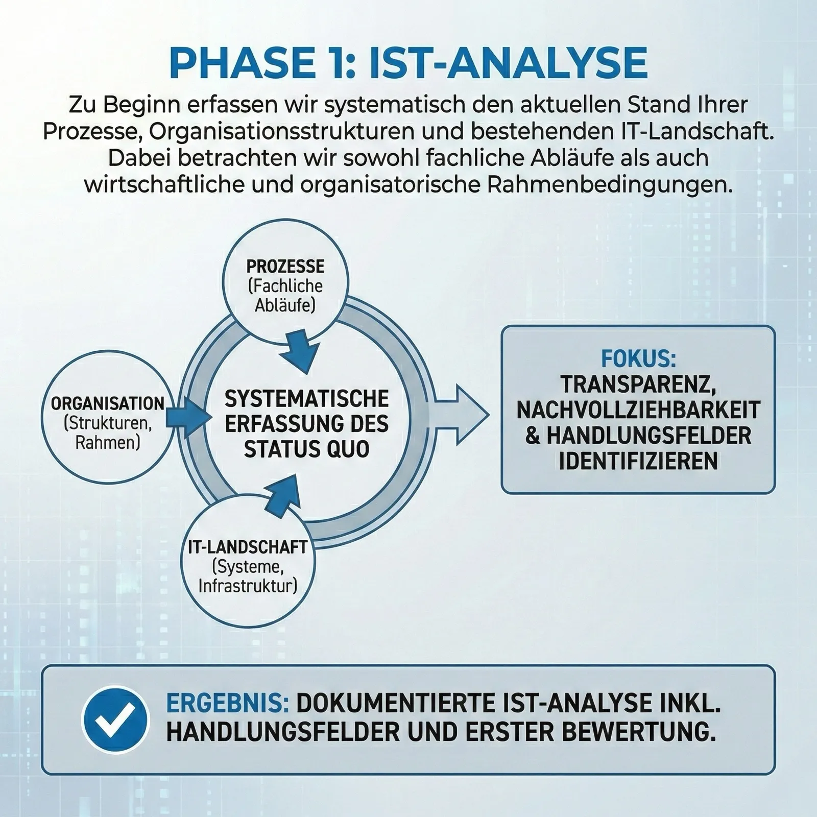 Phase 1 Ist-Analyse